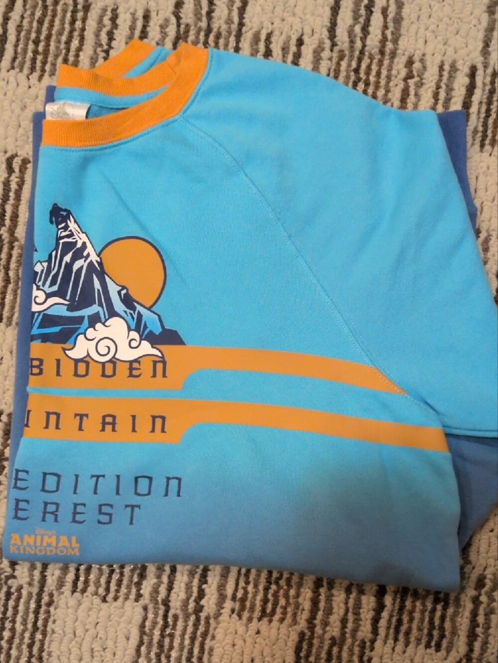 Disney Blue and Gold Forbidden Mountain Expedition Sweatshirt - Picture 9 of 12